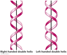 α/β
                      helices
